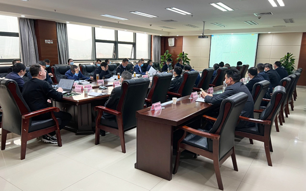 我区召开2022年规划委员会第二次会议