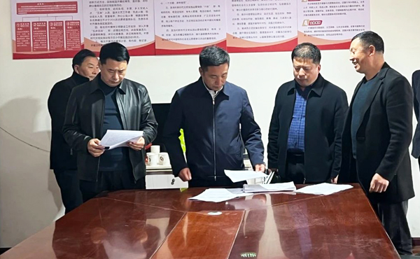 杨守奎督导“三个年”活动开展情况 调研乡村振兴、人居环境整治、基层党建工作