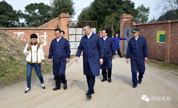 王旭坚来我区检查安全生产工作