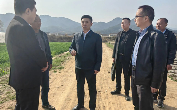 杨守奎调研重点项目建设