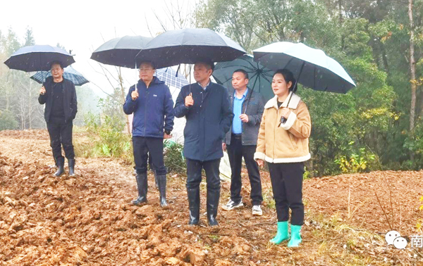 杨守奎到圣水镇、胡家营镇调研督导耕地保护工作