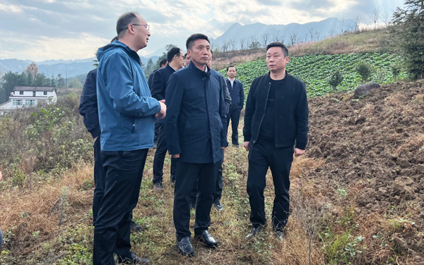 杨守奎到红庙镇调研主题教育、乡村振兴、耕地保护等工作